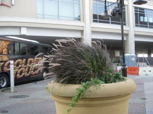 In front of the PATH station, Jersey City