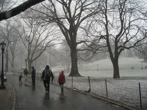 Central Park, New York City on Saturday