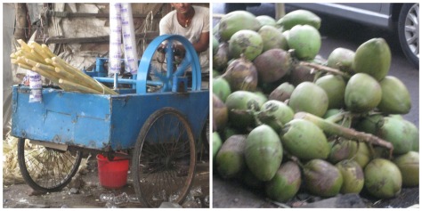 Sugarcane Juice and Daab (green coconuts) to quench the thirst of Pujo viewers